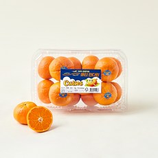 100% 항공직송 큐티 만다린, 1개, 1kg
