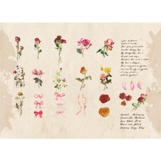 메이징초이스 다꾸 스티커 B타입, B2 레드, 1세트