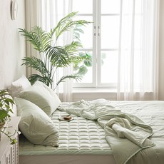 ELENA HEIM 因為是夏天，所以有涼墊, 抹茶