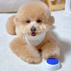 MAAH 狗狗訓練溝通錄音鈴, 藍色, 1個