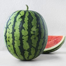 농협 당도선별 씨적은 수박, 9kg 미만, 1개