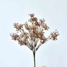 가팡 드라이플라워 DRYE124, 레드 01번