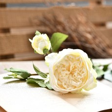 GAPANG 乾花玫瑰 DRYE096, 01白色