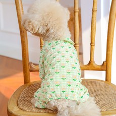 PASTEL PET 寵物印花連身裙, 綠色