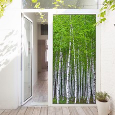 GGOOMIM 靜謐白樺林玄關門壁貼 ta725, 混合色, 100 x 210 cm
