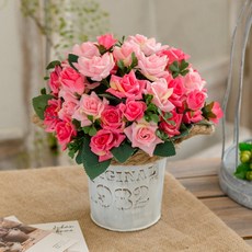 GAPANG 仿真花18號TESI055+花盆套組, 粉色的