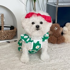 bydamsoomi 狗狗用 Minae 碎花抓皺連身裙, 綠色