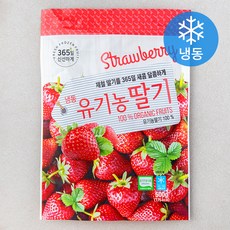 유기농 인증 딸기 (냉동), 1개, 500g