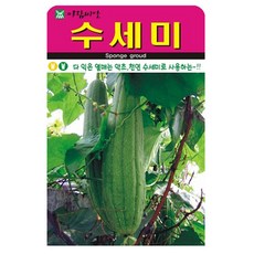 아람종묘 수세미 씨앗 20p, 1개