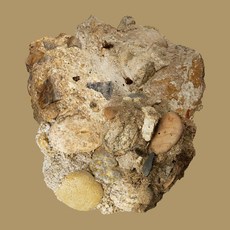 Car The Garden 迷你專輯《Absence》, 1CD