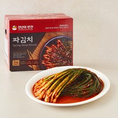 천년의반찬 파김치, 5kg, 1개
