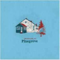 Pinegrove - Amperland NY, 1CD