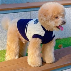 MAAH 寵物劍橋圓領針織衫, 1個, 海軍藍