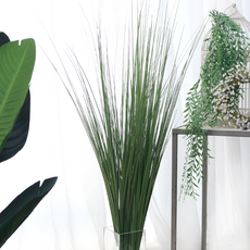 IBERIS Daue F&G 草叢 110cm, 2個, 綠色