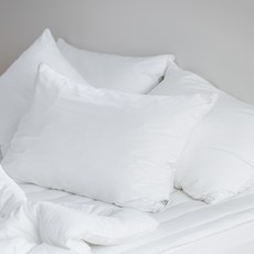 Slound. Allermedi防塵蟎親膚枕套 基本款