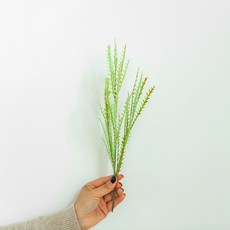 GAPANG 尤加利乾燥花 DRYB203, 04號 綠色