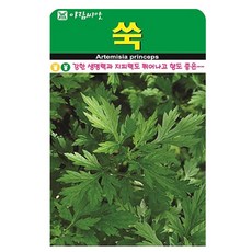 아람종묘 야생쑥 산쑥 씨앗, 1개