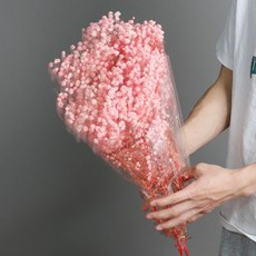 Sonio 永生花小型滿天星花束, 02 粉紅色