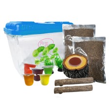 Rora Pet 昆蟲飼養全套組 XXL號, 隨機發貨, 1套