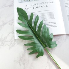 Store91 尤加利葉 拍攝道具 G, 混合色, 1個