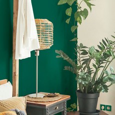 SheetNara 單色素色色紙, 綠色