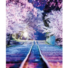 Lucy&Emily 寶石十字繡 串珠 DIY 套組, 1個, 櫻花之夜