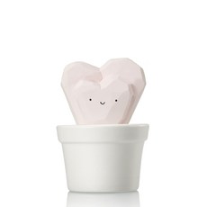 Ditoy 迷你仙人掌陶瓷擴香瓶 愛心款, 50ml, 綠茶, 1個