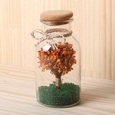 ROMANTIC NOVEMBER 霧花透明迷你瓶 500ml, 秋橙