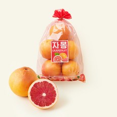 메하드린 수일통상 이스라엘 자몽, 1.5kg, 1개