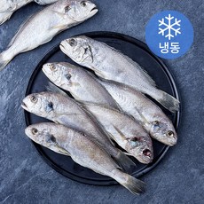 국내산 백조기 엮걸이 10미 (냉동), 1개, 1.1kg