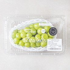 수플린 당도선별 아삭아삭 샤인머스켓, 1개, 1kg(1~2수)