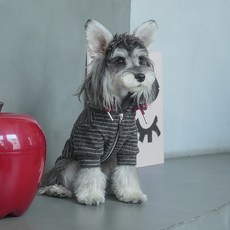 REDPUPPY 寵物Lumin連帽上衣, 條紋深灰色, 1個