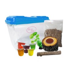 Rora Pet 昆蟲飼養組 M, 隨機發貨, 1套