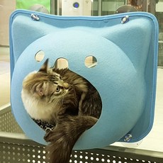 싱글캣 하하캣 해먹 + 쿠션, 스카이블루(해먹), 랜덤발송(쿠션), 1개