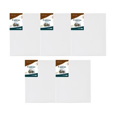 Artmate 水彩畫布 F型 5入, 棉布