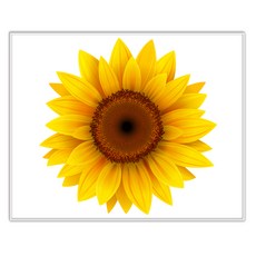 해바라기 그림 인테리어 액자 IDP-018, 엣지 화이트