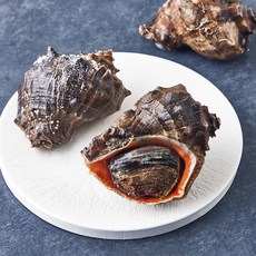 숨비해물 국내산 고소하고 부드러운 참소라 3~6미 (냉장), 1개, 800g