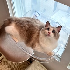 MAAH 貓咪窗戶吊床, 白色, 1個