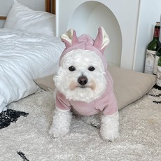 BYDAMSOOMI Pet Dodo 兔子連帽衫, 粉色的