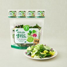 그린래빗 자연을 닮은 샐러드 실속A, 100g, 5개