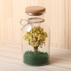 ROMANTIC NOVEMBER 滿天星乾燥花透明瓶 500ml, 黃色