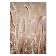 Market A 抽象幾何帆布海報 TYPE3