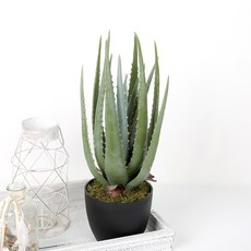 聖誕節金色假花蘆薈黑色花盆 49cm, 混色, 1個