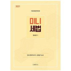 미니 세법(2021):개정세법 완벽반영, 스케치스