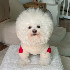 BYDAMSOOMI 印花寵物短袖T恤, 象牙白
