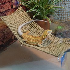 Lanboer 爬蟲網狀吸盤式吊床 S, 1個, B款