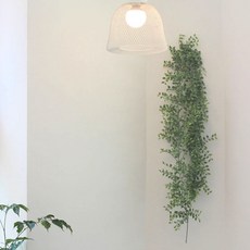 Epley按鈕葉懸掛植物假花, 單色, 1個