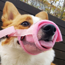 예보들 강아지 입마개 M(입 둘레 14~20cm), 1개, 핑크