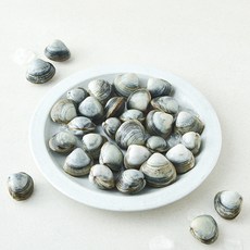 바다림 서해안 생물 동죽조개 (냉장), 1개, 400g