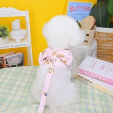 PASTEL PET 寵物小熊條紋胸背帶 + 牽繩套組
